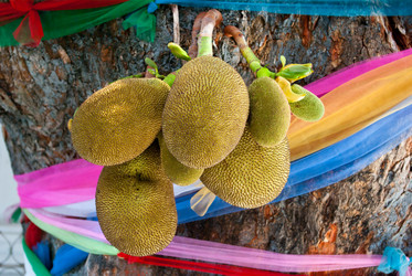 Similar image 1804550