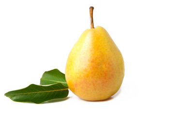 Similar image 1804549