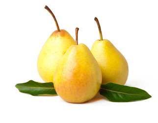 Similar image 1804551