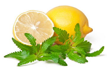 Similar image 1804740