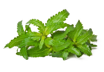 Similar image 1804741