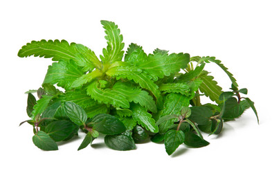 Similar image 1804742