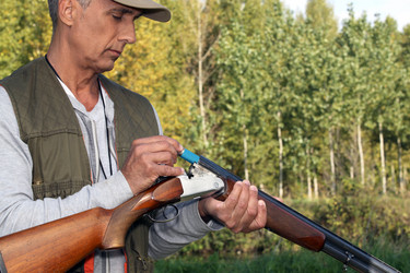 Similar image 1804913