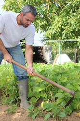 Similar image 1804916