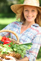 Similar image 1804977