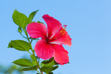 Similar image 1805046