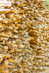 Similar image 1805049