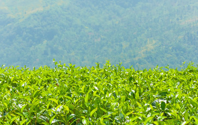 Similar image 1805051