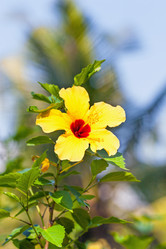 Similar image 1805052