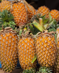 Similar image 1805053