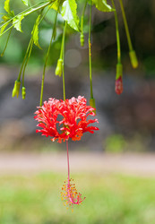 Similar image 1805054