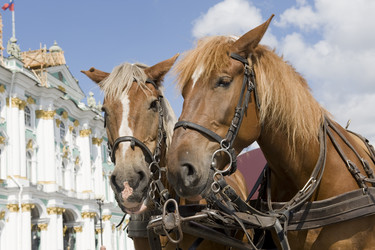 Similar image 1805067