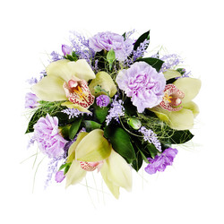 Similar image 1805158