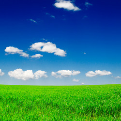 Similar image 1805247