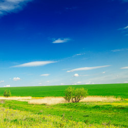 Similar image 1805249