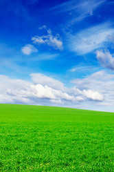 Similar image 1805252