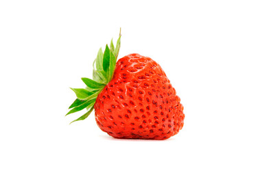 Similar image 1805256