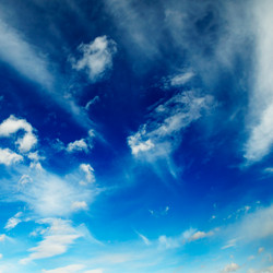 Similar image 1805257