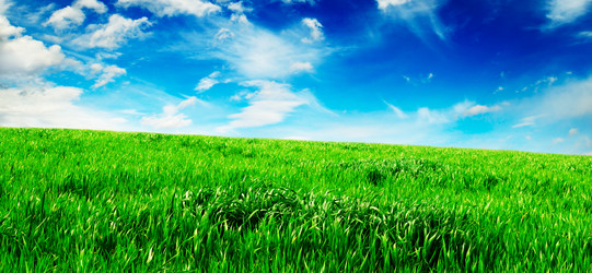 Similar image 1805263