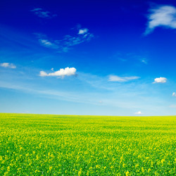 Similar image 1805266