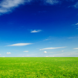 Similar image 1805269