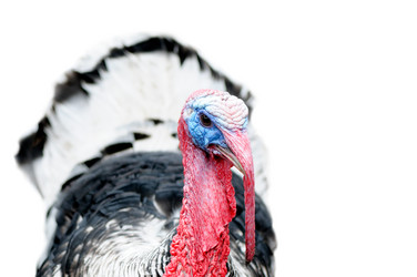 Similar image 1805272