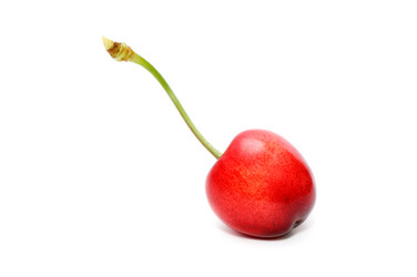 Similar image 1805273