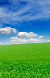 Similar image 1805274