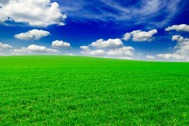 Similar image 1805276