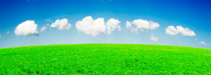 Similar image 1805281