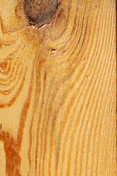 Similar image 1805301