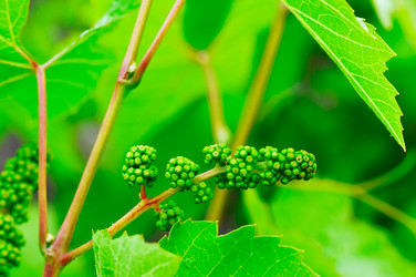 Similar image 1805302