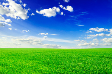 Similar image 1805305