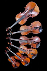 Similar image 1805322