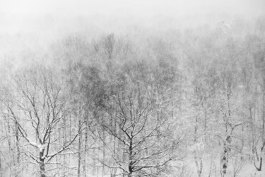 Similar image 1805380