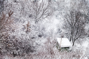 Similar image 1805385