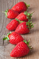 Similar image 1805527