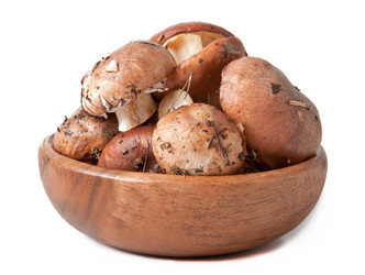 Similar image 1805661