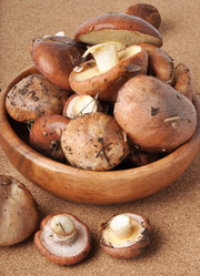 Similar image 1805662