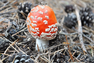 Similar image 1805663