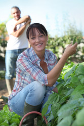 Similar image 1805697