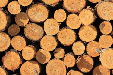 Similar image 1805818