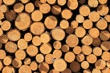 Similar image 1805824