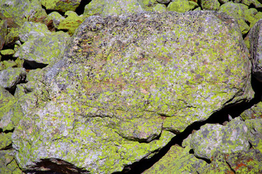 Similar image 1805991