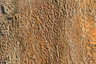 Similar image 1806014