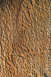 Similar image 1806015