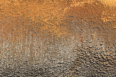 Similar image 1806016