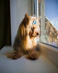 Similar image 1806206