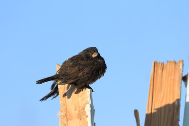 Similar image 1806348