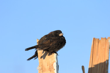 Similar image 1806349